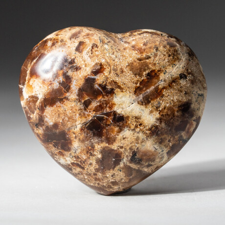 Genuine Polished Brown Petrified Wood Heart + Acrylic Display Stand // V2