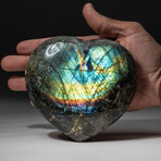 Genuine Polished Labradorite Heart + Acrylic Display Stand // V1