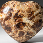 Genuine Polished Brown Petrified Wood Heart + Acrylic Display Stand // V2