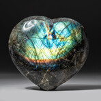 Genuine Polished Labradorite Heart + Acrylic Display Stand // V1