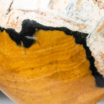 Genuine Polished Ocean Jasper Heart + Acrylic Display Stand // V2