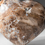 Genuine Polished Brown Petrified Wood Heart + Acrylic Display Stand