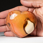 Genuine Polished Polychrome Jasper Heart + Acrylic Display Stand // V4