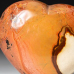 Genuine Polished Polychrome Jasper Heart + Acrylic Display Stand // V4