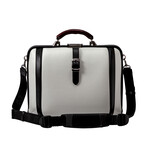 Dulles Adria Messenger // White