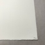 Robert Rauschenberg // Tribute 21: Children // 1994