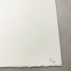 Robert Rauschenberg // Tribute 21: Sports // 1994