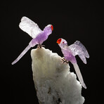 Genuine Polished Amethyst Parrots on Large Albite Matrix