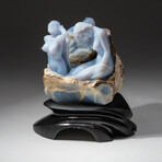 Genuine Polished Hand Carved Blue Lace Agate Busts on a Custom Obsidian base