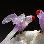 Genuine Polished Amethyst Parrots on Large Albite Matrix