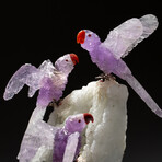 Genuine Polished Amethyst Parrots on Large Albite Matrix