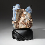 Genuine Polished Hand Carved Blue Lace Agate Busts on a Custom Obsidian base