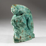 Genuine Polished Hand Carved Turquoise Lizard