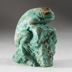 Genuine Polished Hand Carved Turquoise Lizard