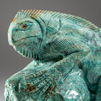 Genuine Polished Hand Carved Turquoise Lizard