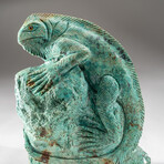 Genuine Polished Hand Carved Turquoise Lizard