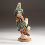 Genuine Polished Hand Carved Parrot + Custom Stand // V1