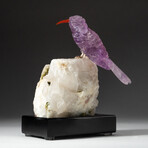 Genuine Polished Hand Carved Amethyst Hummingbird on Pink Tourmaline + Quartz Matrix