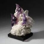 Genuine Polished Hand-Carved Purple Fluorite Fish on Albite Matrix + Custom Acrylic Display Stand