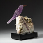 Genuine Polished Hand Carved Amethyst Hummingbird on Pink Tourmaline + Quartz Matrix