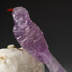 Genuine Polished Hand Carved Amethyst Hummingbird on Pink Tourmaline + Quartz Matrix