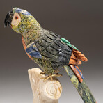 Genuine Polished Hand Carved Parrot + Custom Stand // V1