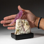 Genuine Polished Hand Carved Amethyst Hummingbird on Pink Tourmaline + Quartz Matrix