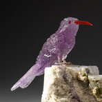 Genuine Polished Hand Carved Amethyst Hummingbird on Pink Tourmaline + Quartz Matrix