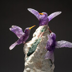 Genuine Polished Amethyst Hummingbirds on Watermelon Tourmaline Crystal + Quartz Matrix