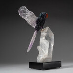 Genuine Polished Fluorite Parrot on Quartz Crystal + Custom Acrylic Base