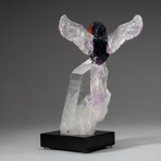 Genuine Polished Fluorite Parrot on Quartz Crystal + Custom Acrylic Base
