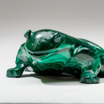 Genuine Polished Hand Carved Malachite Frog