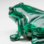 Genuine Polished Hand Carved Malachite Frog