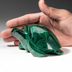 Genuine Polished Hand Carved Malachite Turtle