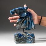 Genuine Polished Hand Carved Lapis Lazuli Horse