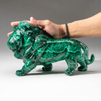 Genuine Polished Hand Carved Malachite Lion