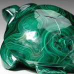 Genuine Polished Hand Carved Malachite Turtle