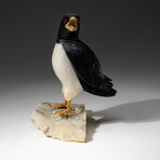 Genuine Polished Hand Carved Black + White Onyx Penguin on Druzy Cluster