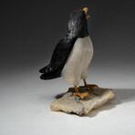 Genuine Polished Hand Carved Black + White Onyx Penguin on Druzy Cluster