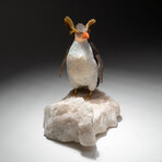 Genuine Polished Southern Rockhopper Penguin on Quartz Crystal + Pink Tourmaline Crystal