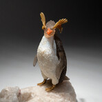 Genuine Polished Southern Rockhopper Penguin on Quartz Crystal + Pink Tourmaline Crystal