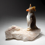 Genuine Polished Southern Rockhopper Penguin on Quartz Crystal + Pink Tourmaline Crystal