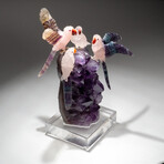 Four Genuine Polished Hand Carved Rose Quartz Parrots on Amethyst Cluster