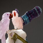 Genuine Polished Rose Quartz Parrots on Quartz Cluster + Green Tourmaline