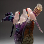 Four Genuine Polished Hand Carved Rose Quartz Parrots on Amethyst Cluster