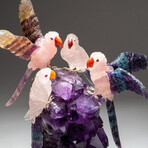 Four Genuine Polished Hand Carved Rose Quartz Parrots on Amethyst Cluster