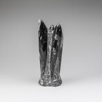 Genuine Polished Orthoceras Fossil Statue // 4 lb