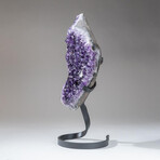 Genuine Brazilian Amethyst Crystal Cluster on Custom Stand // 6.6 lb