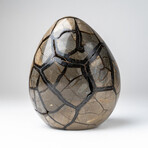 Septarian Druzy Egg with Acrylic Display Stand // 9.5 lb