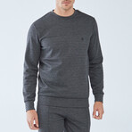 Trip Sweatshirt // Anthracite (Small)